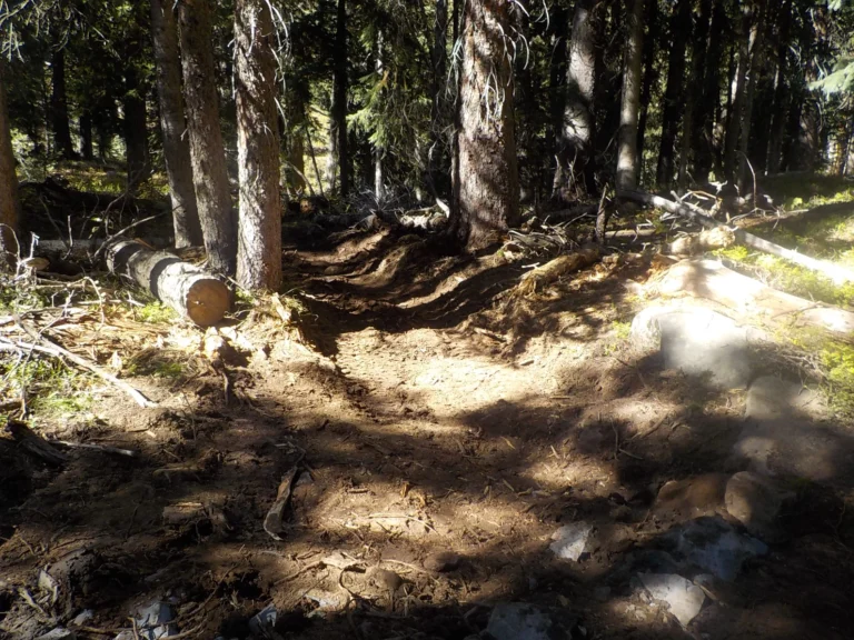 DSCN0764 (2022_11_09 21_10_41 UTC)